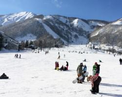 Japanese winter What to do in Japan in winter