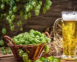 Is it harmful to drink non-alcoholic beer?