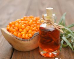 Using sea buckthorn for facial skin at home Sea buckthorn and honey mask